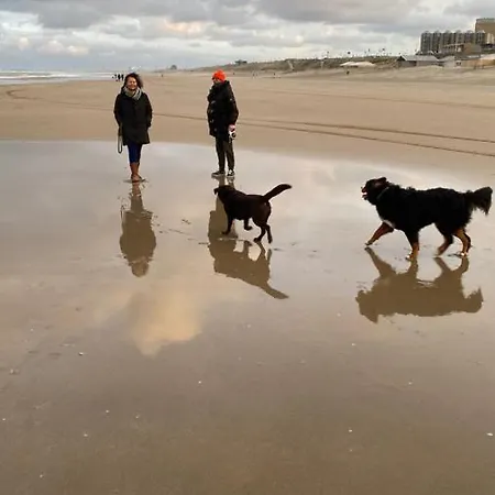 Σπίτι διακοπών Lilo S Place Zandvoort