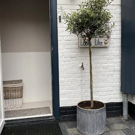 Lilo S Place Zandvoort