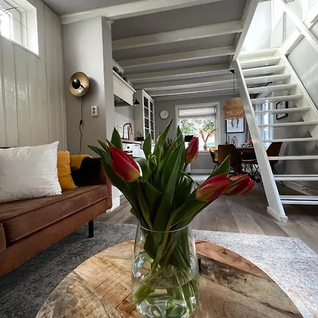 Lilo S Place Zandvoort