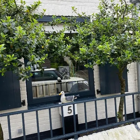 Lilo S Place 잔드보르트